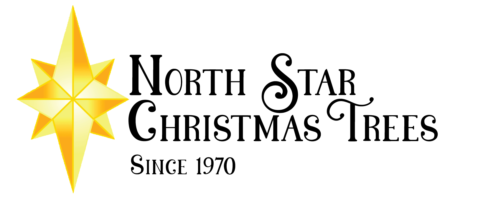north star logo black letters trans