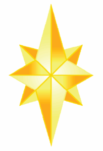 Delivery Process NorthStar Logo White Letters 204x300